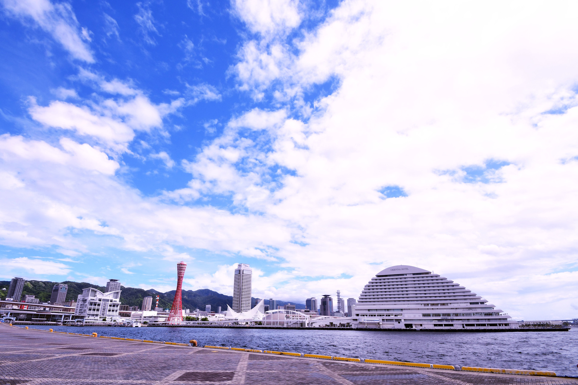 DSC_2515.jpg
